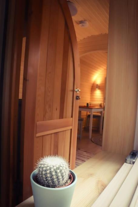 Tiny House Kotten Kunterbunt Nottuln Exterior photo